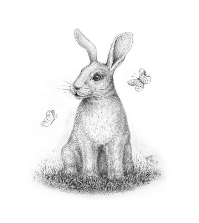 How to draw a rabbit (bunny) easily [Tutorials for beginners]