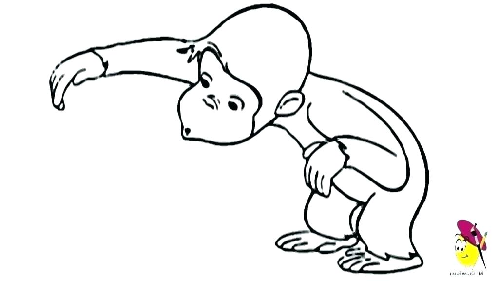 How to Draw a Monkey - Create an Adorable Monkey Drawing