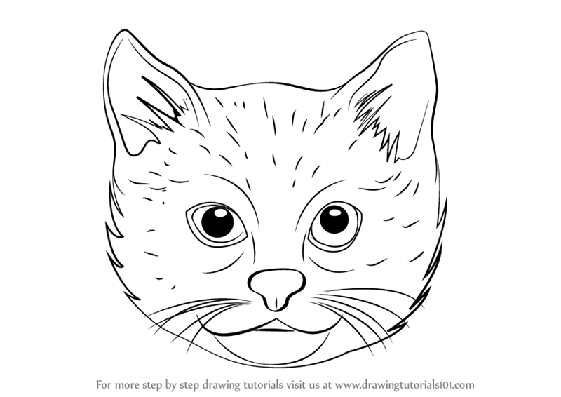 how-to-draw-Cat-Face-step-0 How to draw a cat face and silhouette with easy step by step tutorials