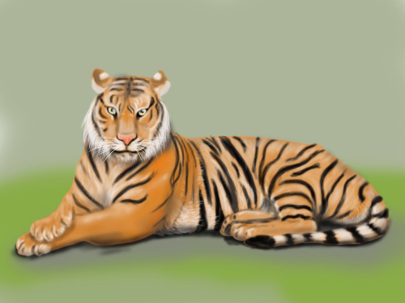 How To Draw A Bengal Tiger, Draw Tigers, Step by Step, Drawing Guide, by  MichaelY - DragoArt