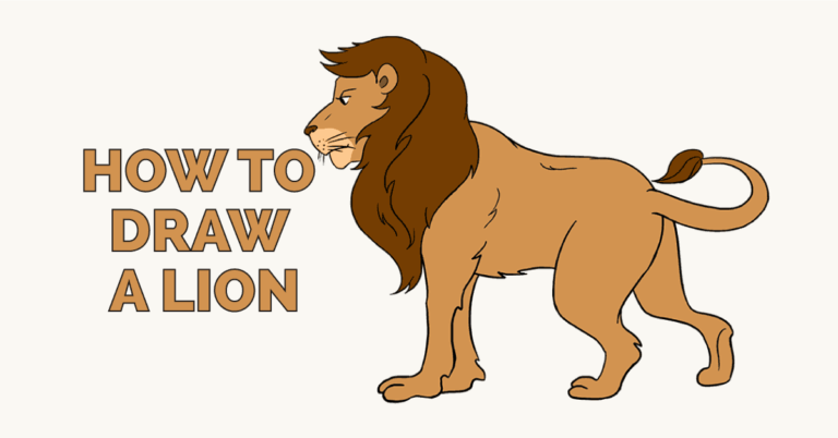 How to draw a lion face and body (Tutorials for beginners)