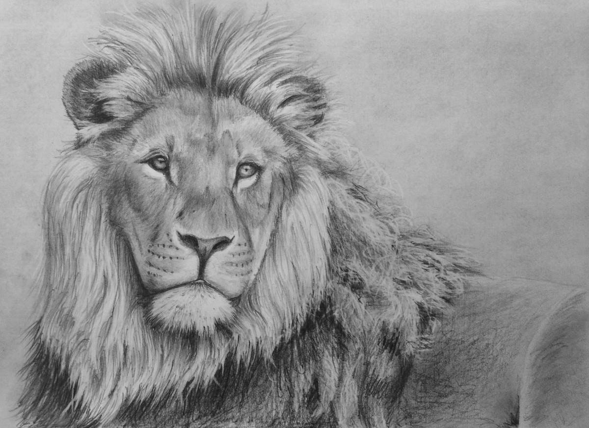 Drawing of a lion on Craiyon-saigonsouth.com.vn