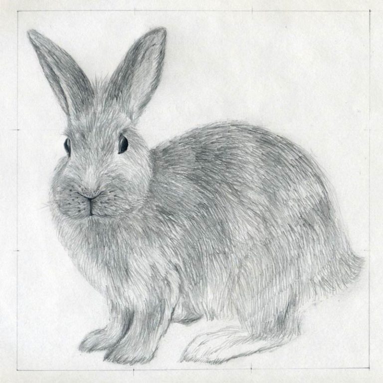 How to draw a rabbit (bunny) easily [Tutorials for beginners]