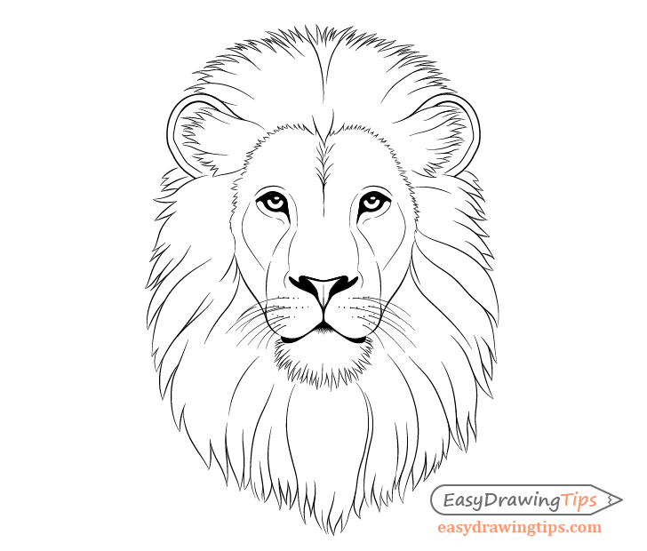 How to Draw a Lion in Pencil  Online Art Lessons
