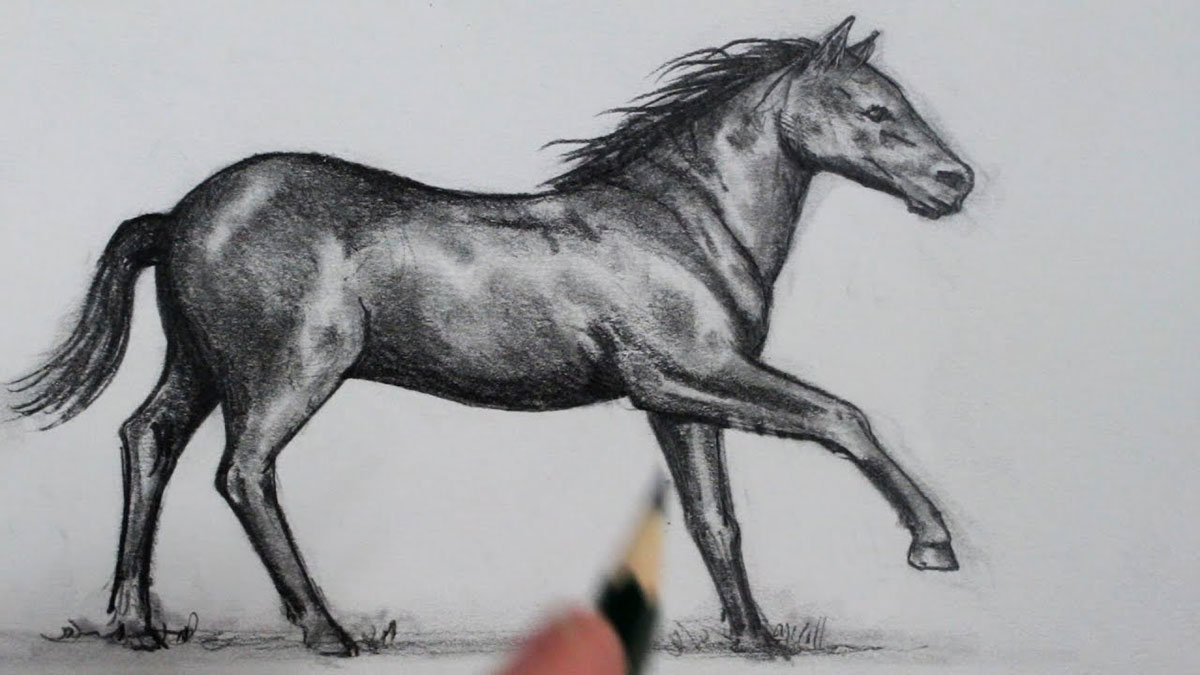 illustration drawing for beginners