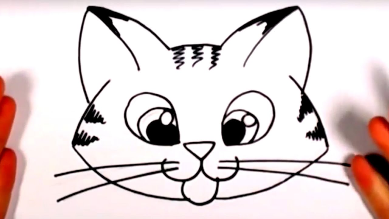 How To Draw A Cat Face And Silhouette With Easy Step By Step Tutorials
