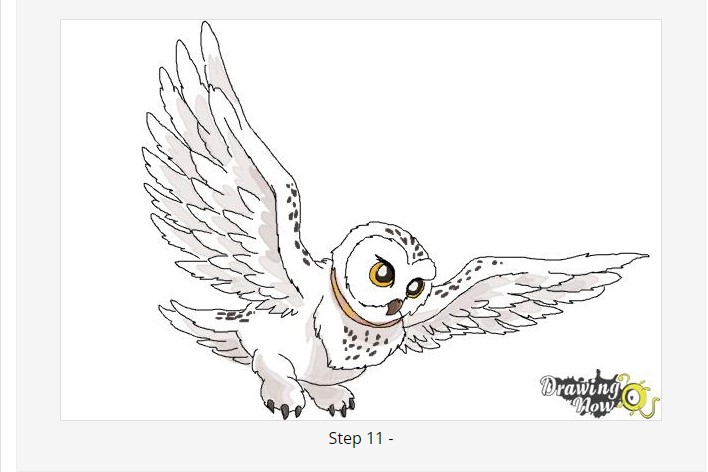 owl How to draw Harry Potter characters (Drawing ideas and tutorials)