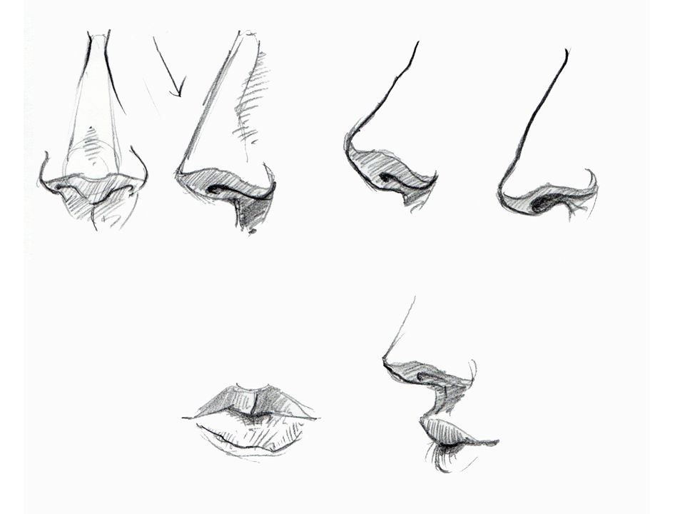how to draw a realistic human nose