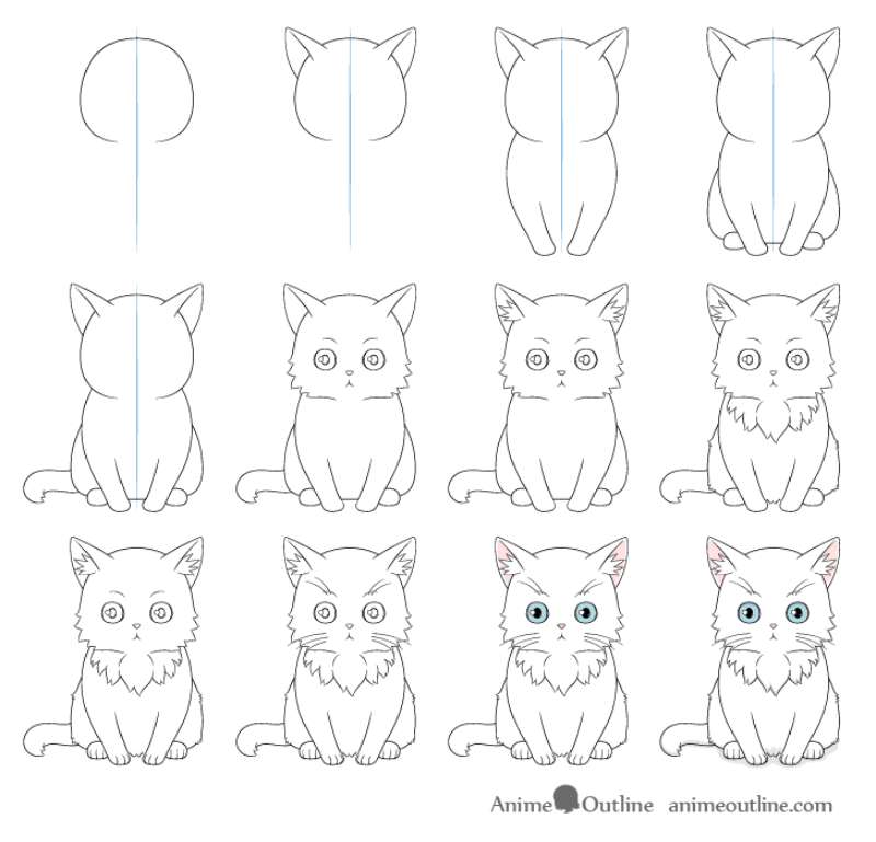 How To Draw A Cat: Tutorials To Learn From