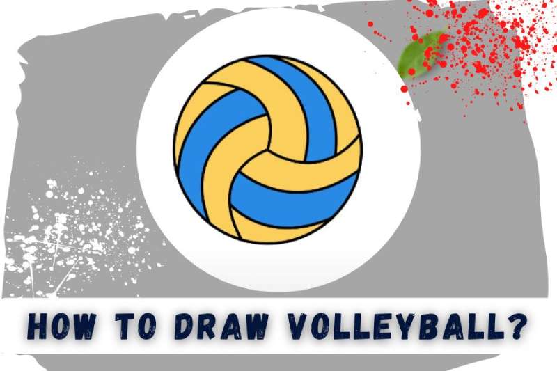 How To Draw A Volleyball: Tutorials To Learn From