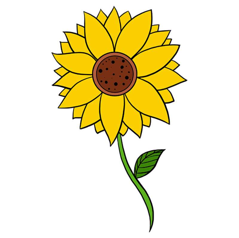 Sketch-a-Dope-Sunflower How To Draw A Sunflower: Tutorials To Learn From