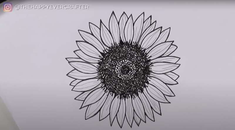 Sketchin-Sunflower-Vibes-%E2%80%93-The-Floral-How-To How To Draw A Sunflower: Tutorials To Learn From
