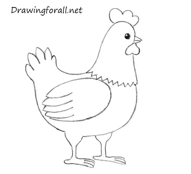 Курица легко и быстро. Курица рисунок для детей. Рисунок курицы для срисовки. Картинки курицы для срисовки. Курица раскраска.