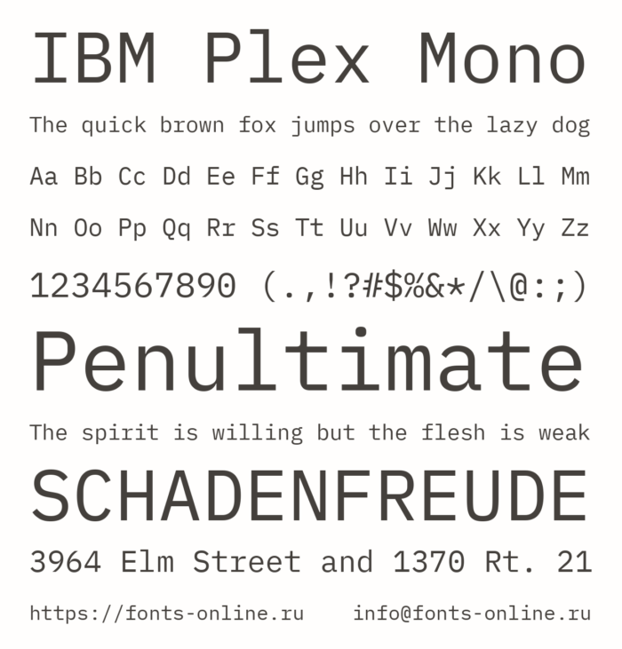 IBM Plex Mono