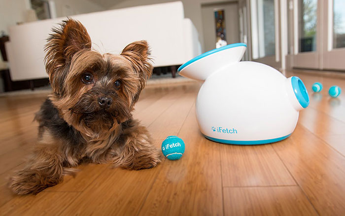 iFetch-Interactive-Ball-Launcher-for-Dogs Amazing Gadgets To Check Out (36 Useful and Interesting Ones)