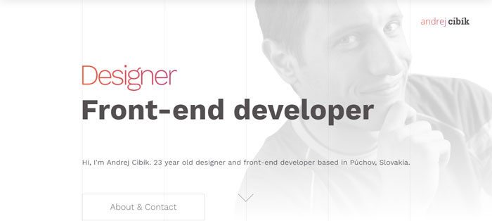 Designer-Frontend-develop Portfolio Website Examples And Tips To Create Them