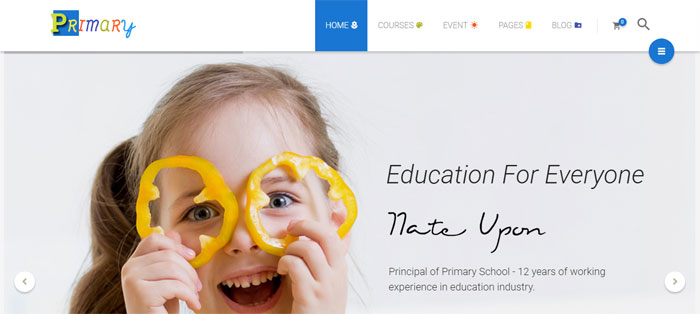 Primary WordPress Themes for Schools, Colleges, Kindergartens and more