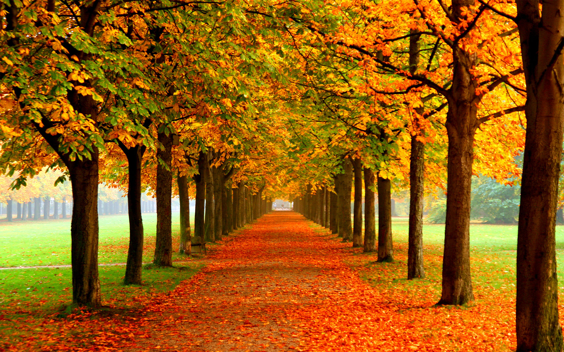 Autumn Wallpaper Examples for Your Desktop Background