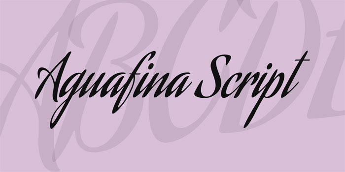 Aguafina-Script-Regular Cool Signature Font Examples (Pick The Best Autograph Font)