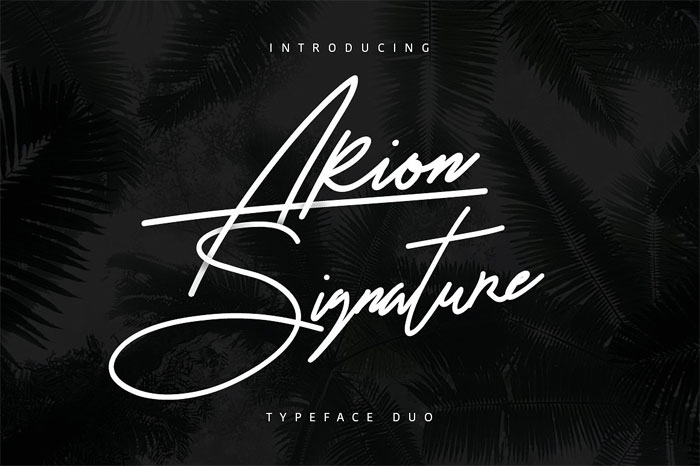 Arion-Signature Cool Signature Font Examples (Pick The Best Autograph Font)
