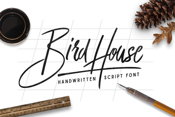 Birdhouse-Script Cool Signature Font Examples (Pick The Best Autograph Font)