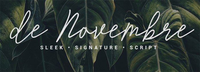 De-Novembre Cool Signature Font Examples (Pick The Best Autograph Font)