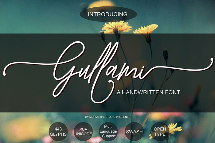 Gullami-Rice-Script Cool Signature Font Examples (Pick The Best Autograph Font)