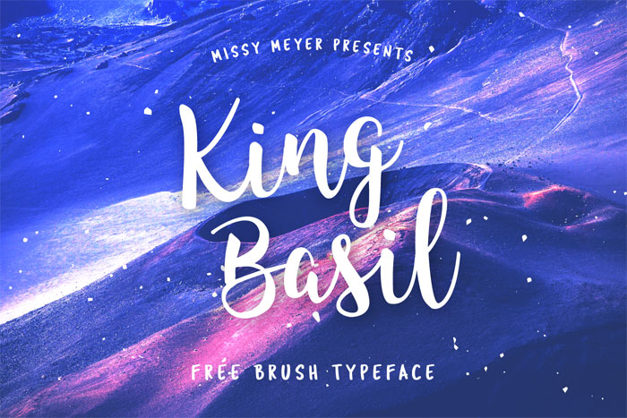 King-Basil Cool Signature Font Examples (Pick The Best Autograph Font)