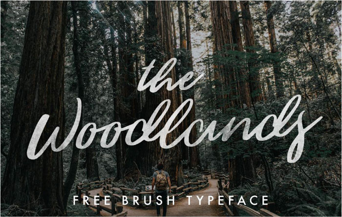 The-Woodlands Cool Signature Font Examples (Pick The Best Autograph Font)