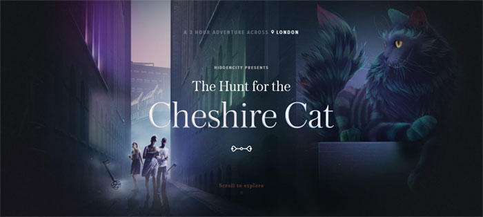 The-Hunt-for-the-Cheshire-C Web Design Basics and What Makes A Good Website