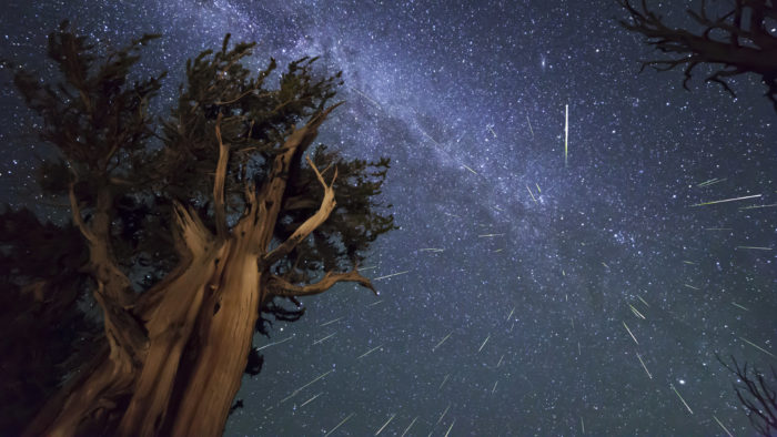 meteors_perseids_bristlecone_meteor_shower_98707_3840x2160-700x394 101 Awesome Wallpapers To Download For Your Desktop