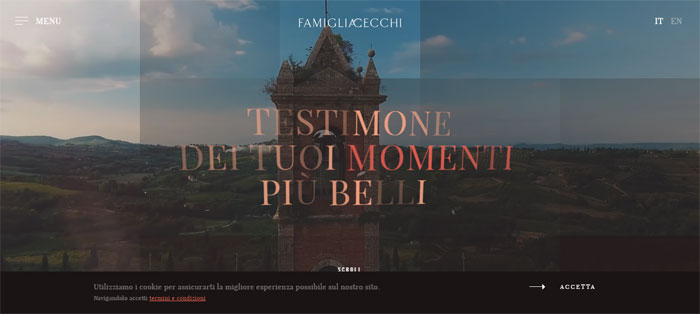 Famiglia-Cecchi 78 Great Examples of Cool Website Designs