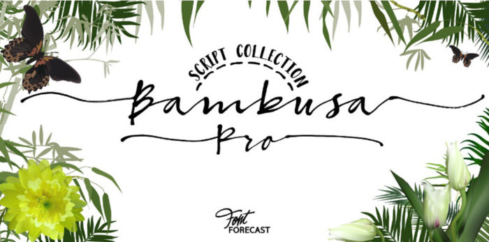 bambusa-pro-700x347 The best 72 free fonts for logos to create modern and creative designs