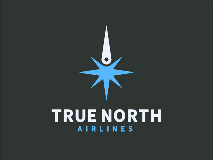 truenorthairlines Travel logo design ideas that you should use in your next project