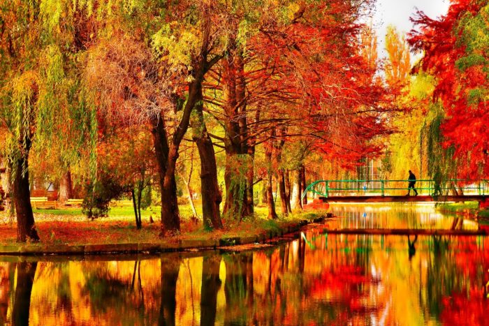 235705014-pretty-fall-backgrounds-700x467 Fall background images that you can use in your designs