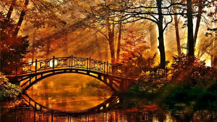 Fall-Background-57-700x394 Fall background images that you can use in your designs