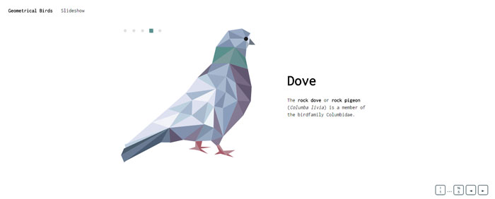Geometrical-Birds-sli_- CSS slideshow examples that you can use in your websites
