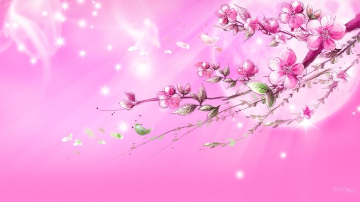 6915762-pink-background-700x394 Pink background images to use in your design projects