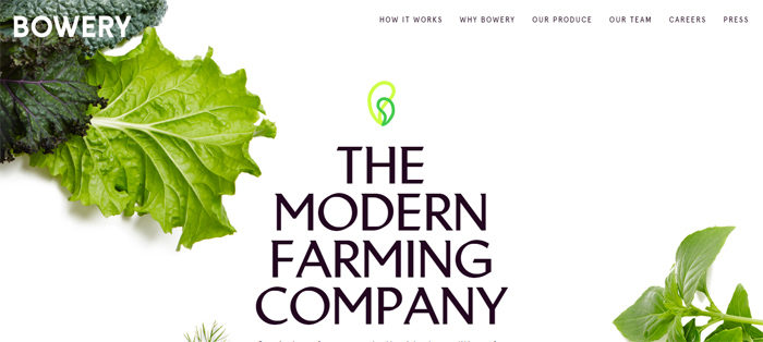 boweryfarming.com_-700x314 New York startups and their great looking websites