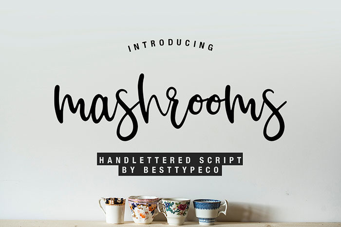Mashroom-700x466 Download The Script Fonts Bundle: 80+ Elegant Fonts (with Extended License)