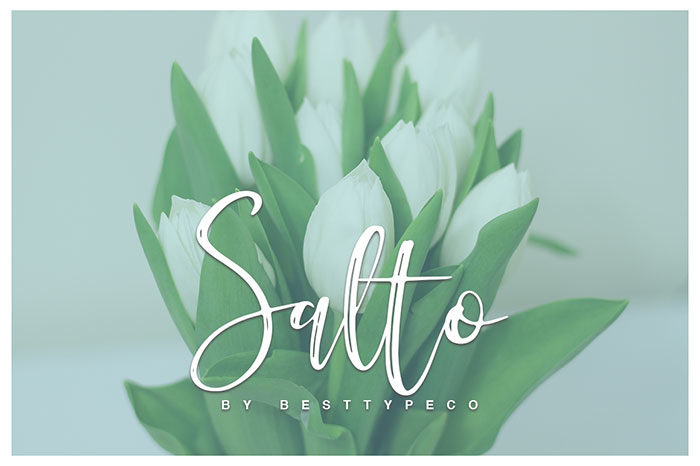 Salto-700x466 Download The Script Fonts Bundle: 80+ Elegant Fonts (with Extended License)