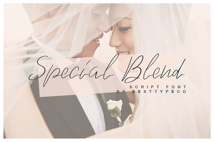 Special-Blend-700x466 Download The Script Fonts Bundle: 80+ Elegant Fonts (with Extended License)