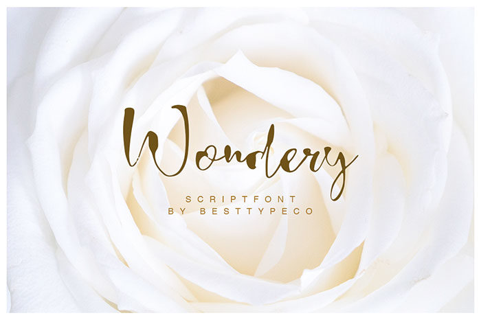 Wondery-700x466 Download The Script Fonts Bundle: 80+ Elegant Fonts (with Extended License)