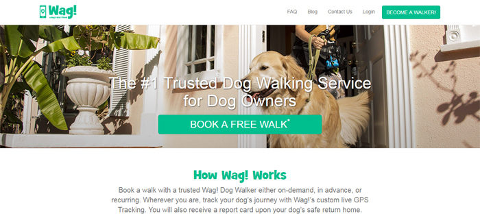 dog-700x312 Cool startups in Los Angeles that you should check out