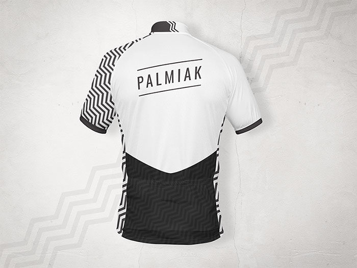 palmiak_back-700x525 How to design a T-Shirt: The best guide online