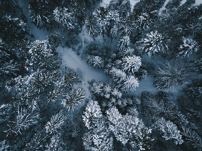 Snow-December-Background-Christmas_unsplash-700x525 Free Christmas Backgrounds to Use in Photoshop