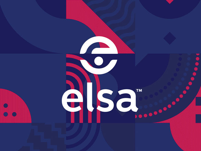 elsa-reveal-700x525 What is a logo and why you need one