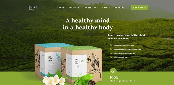 8-2 24 Stunning Examples of Top Quality One-Page Website Designs
