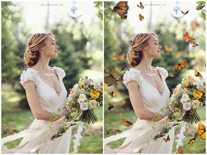 Butterfly-Overlays-700x525 Cool wedding Photoshop actions for photographers