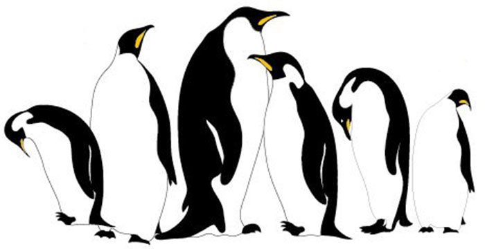 Emperor-Penguins-700x360 Free illustrator brushes to download and use for vector designs